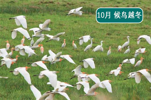 北海涠洲岛旅游攻略
