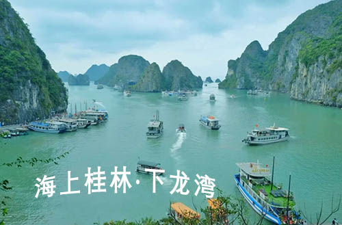 用护照去越南旅游要900元