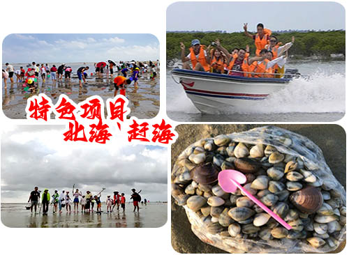 北海红树林5月下旬赶海时刻表
