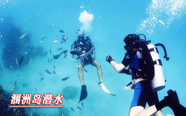 崇左到北海旅游要多少钱