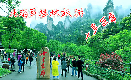 2023年北海到桂林旅游价格和路线