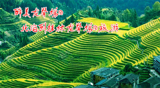 2023年北海到桂林旅游价格和路线