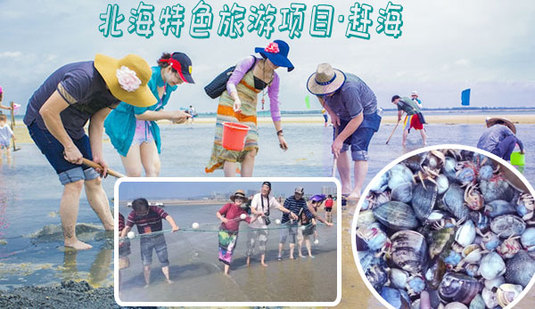 北海市,内,游,要,多少钱,
